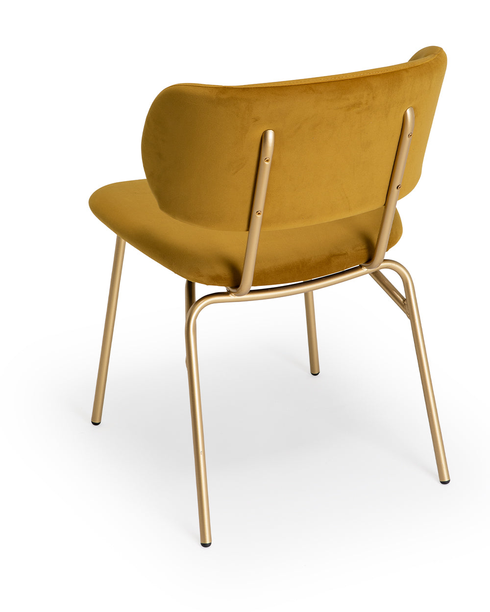 Tubo 6160 Chair | Iron Tube Frame with Upholstery | theMADgroup