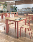 TMG - Scoi Chair