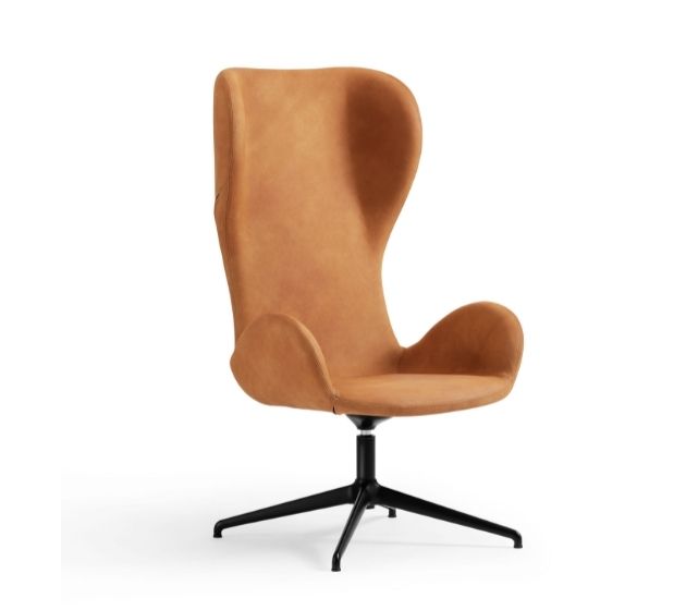Buy Dalia PE GX TS Armchair | Sculpted Modern Chair | theMADgroup