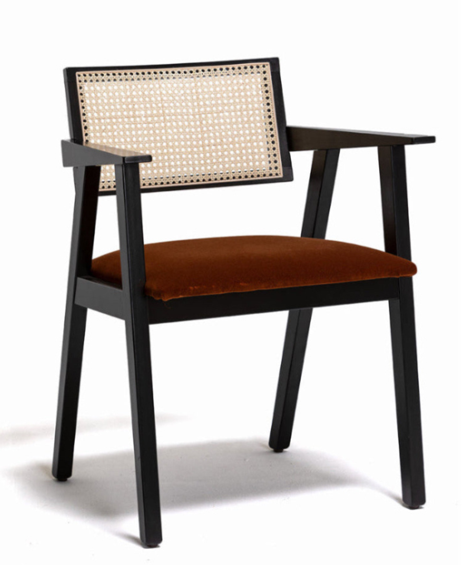 PALMIRA - Alnus 6058