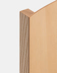 Catalina Chair With Plywood Backrest |  Accent Chair | TheMADgroup